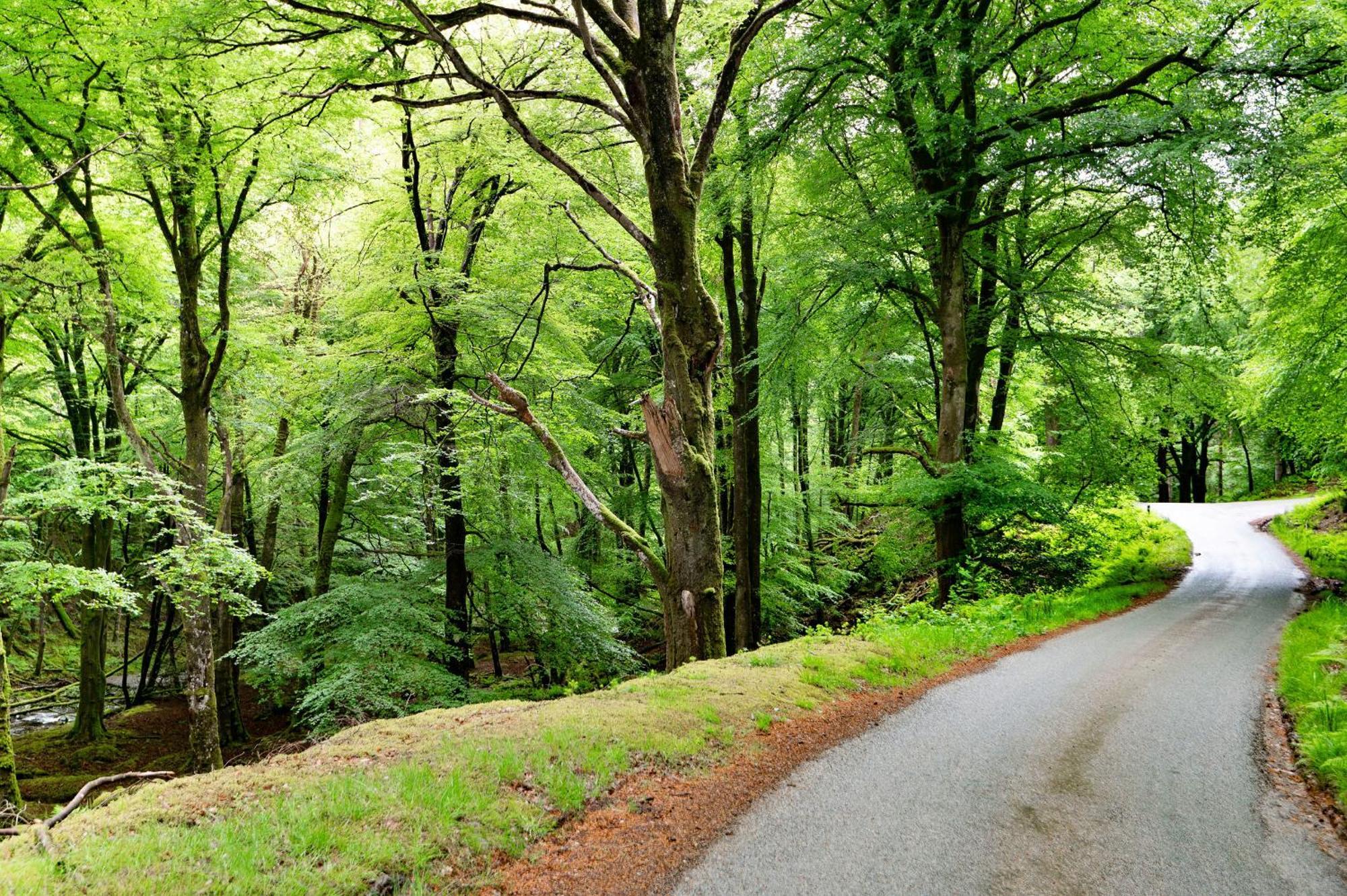 Finest Retreats - Hermon Bach Villa Dolgellau Esterno foto