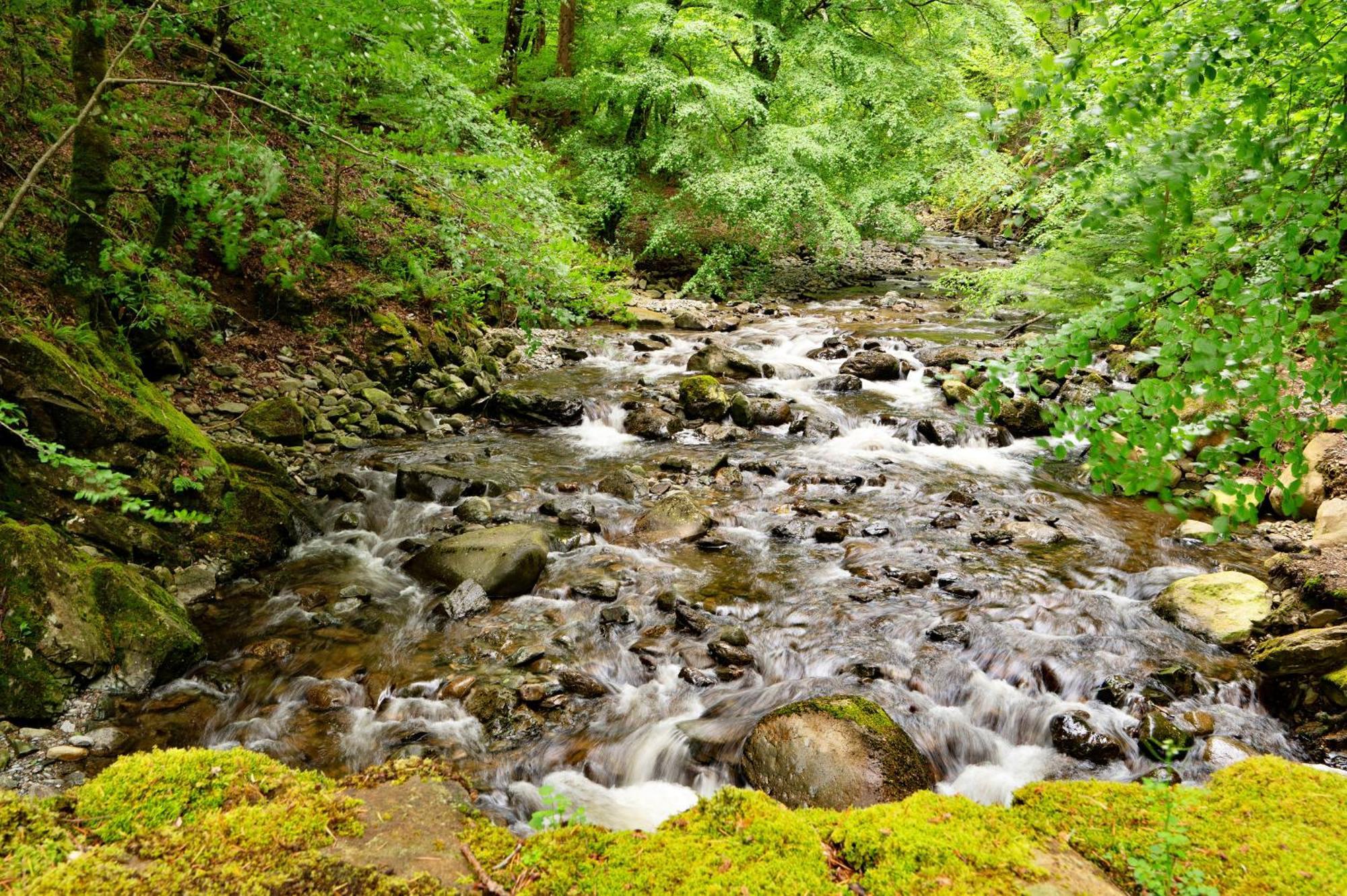 Finest Retreats - Hermon Bach Villa Dolgellau Esterno foto